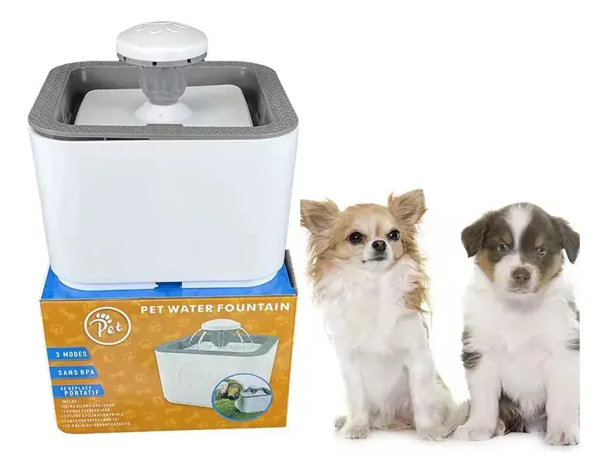 Fuente de agua blanca cuadrada junto a su caja y dos perros pequeños