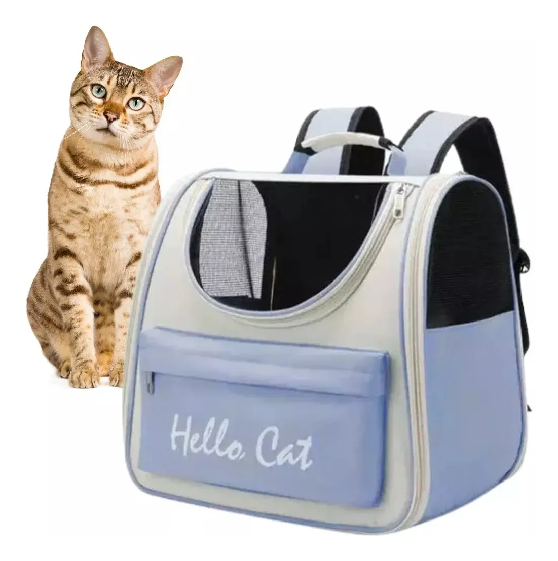 Mochila transportadora violeta con ventana y un gato al lado